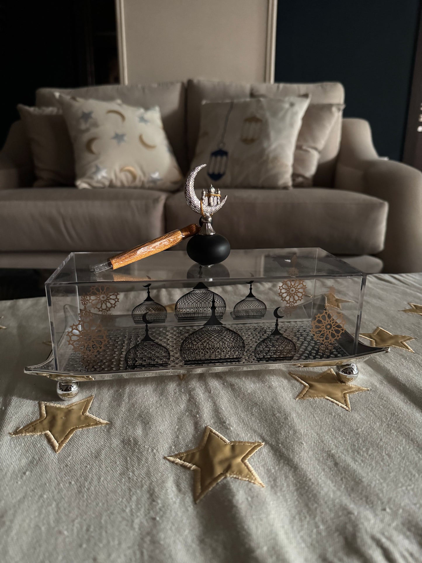 Silver MetalxAcrylic Tamerya