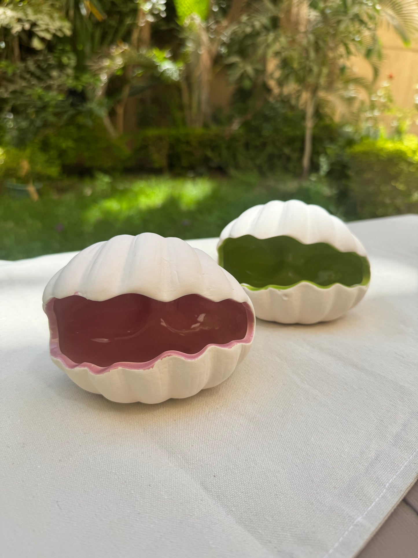 Colorful Shell