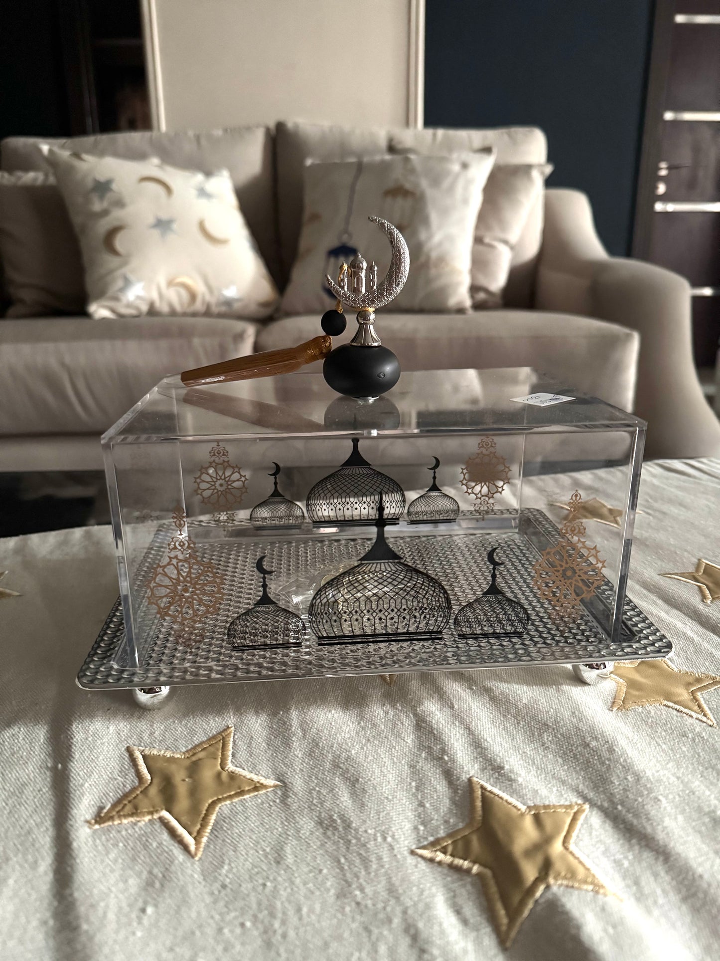 Silver MetalxAcrylic Tamerya