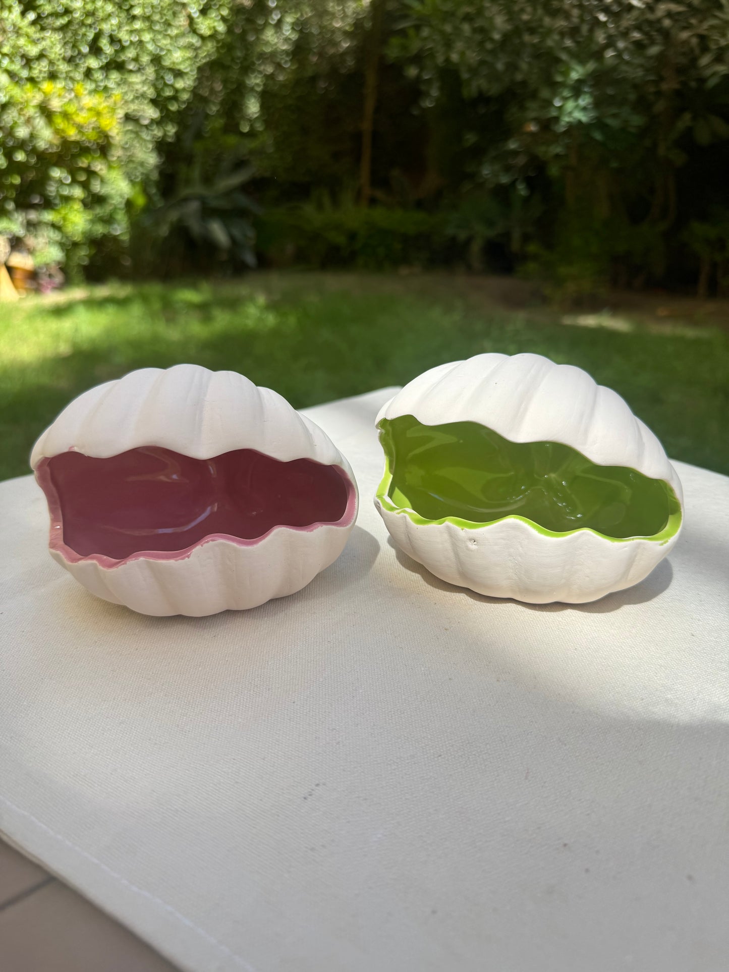 Colorful Shell