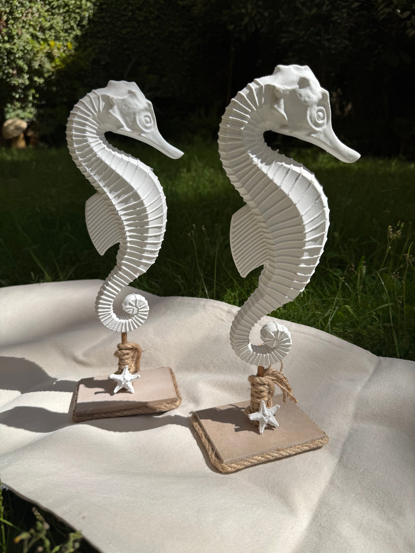 Seahorse Stand