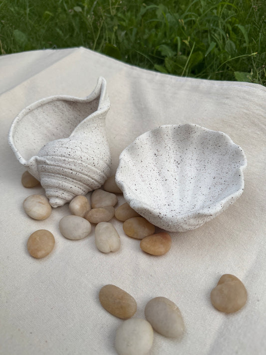 Mini Shell Plates