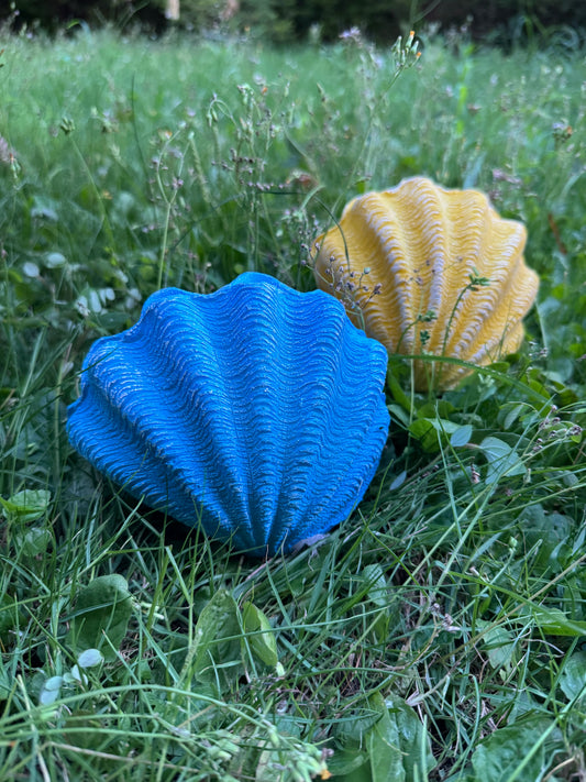 Mini Decorative Shell