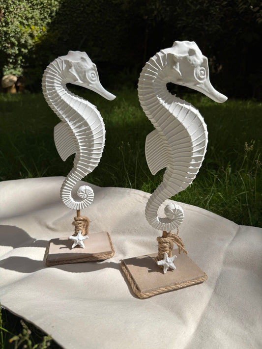 Seahorse Stand
