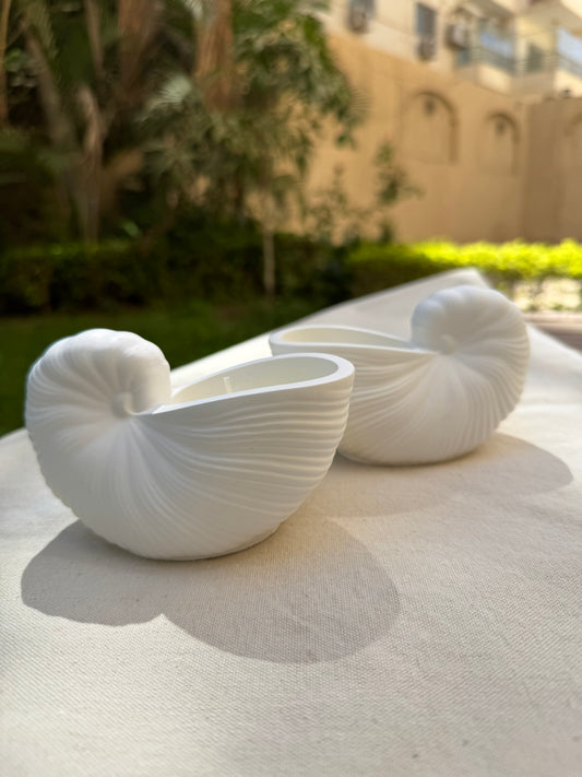 Shell Candle