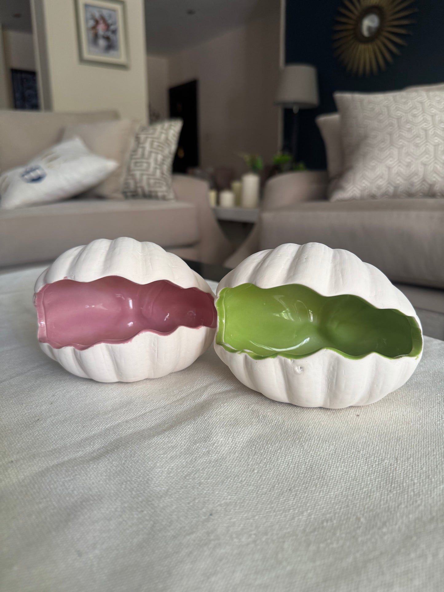 Colorful Shell