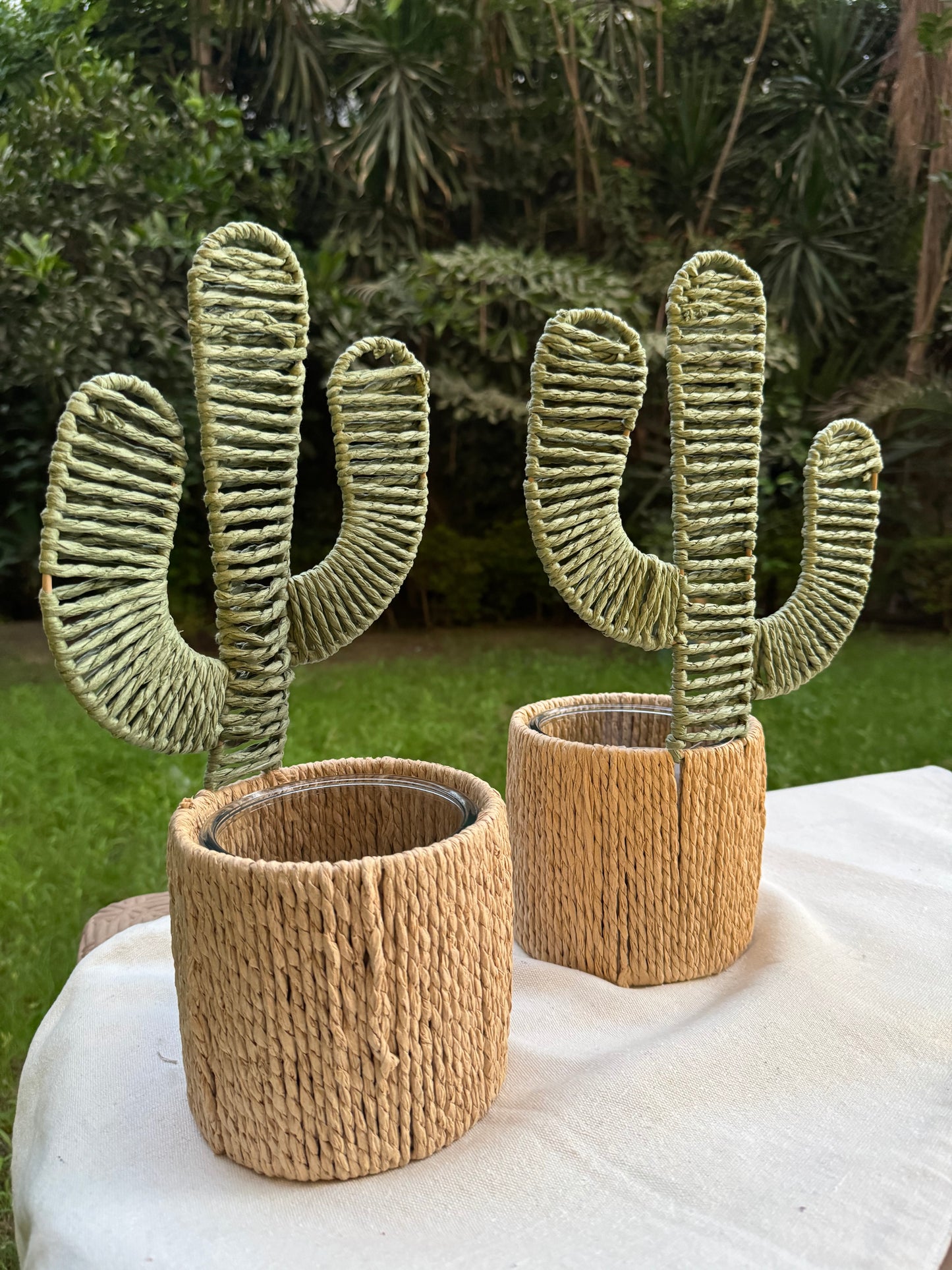 Cactus Vase