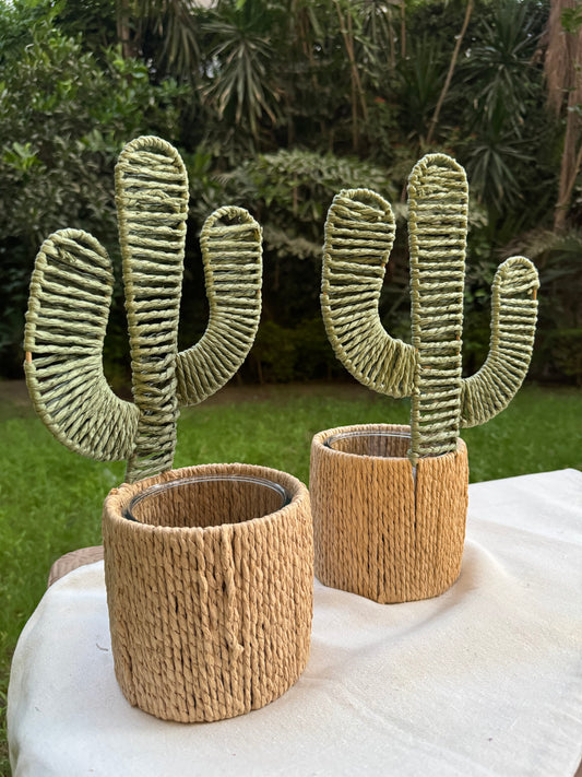 Cactus Vase