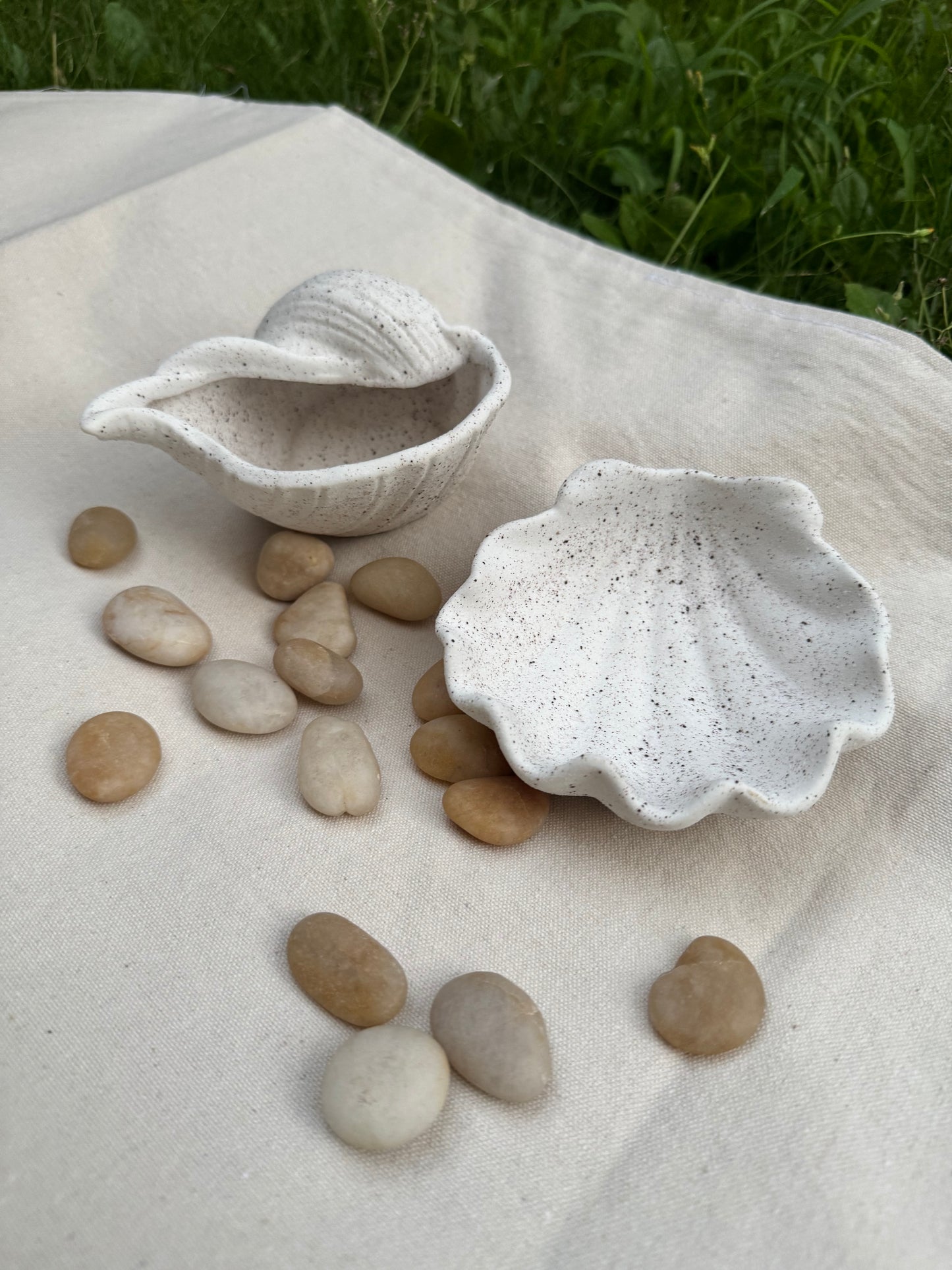 Mini Shell Plates